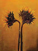 Morning Sunflowers