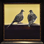 Turtle Doves Meet